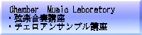 Chamber　Music Laboratory ・弦楽合奏講座 ・チェロアンサンブル講座 